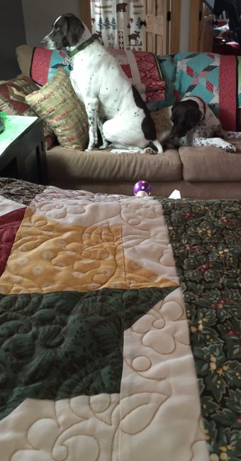 Quilts are always better with dogs