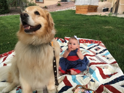 Finley and Dolce on the 4th of July Quilt